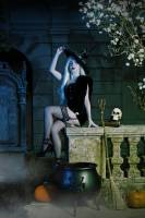 David AMADIEU - AMADIEU DAVID