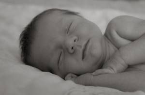 BOES LAETITIA - LAETITIA BOES PHOTOGRAPHY